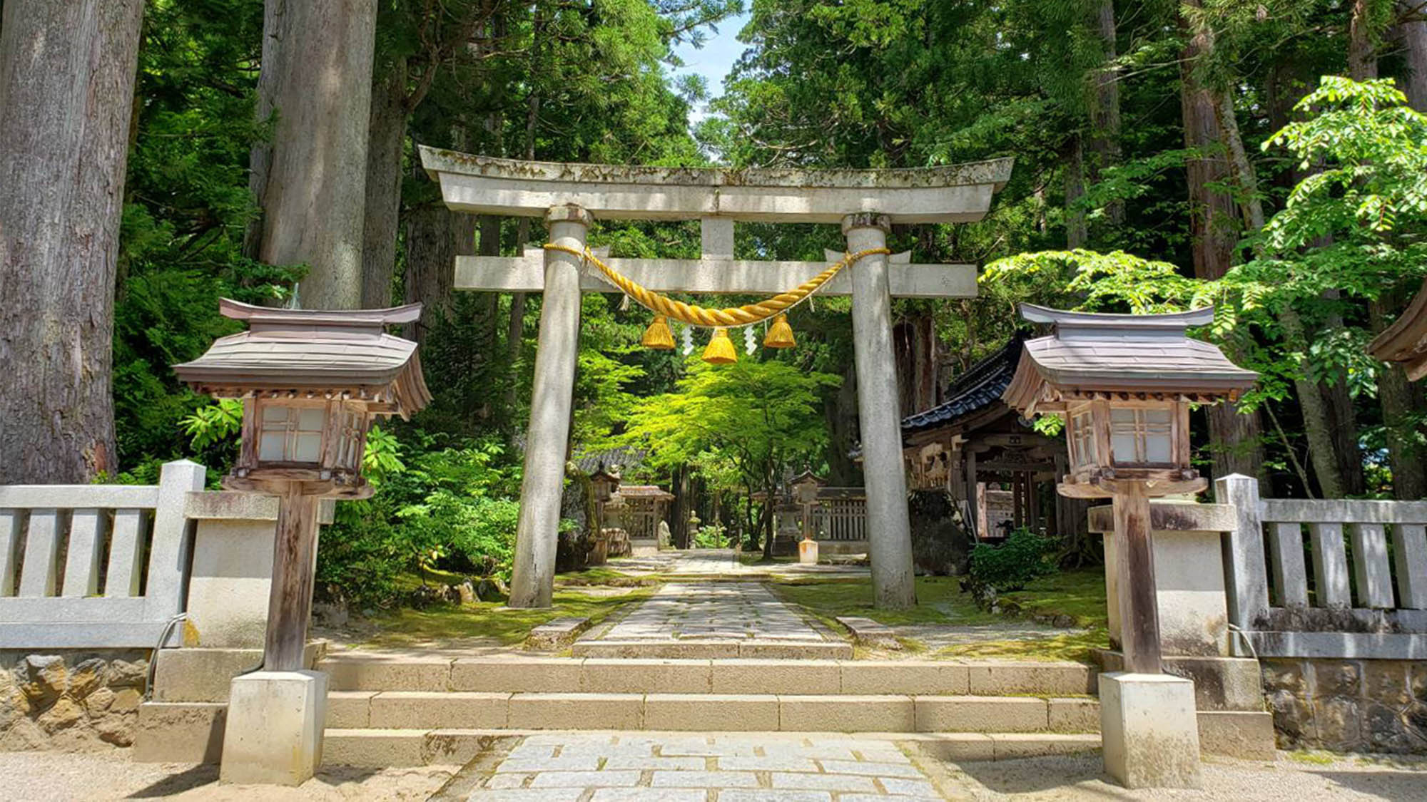 ・芦峅雄山神社鳥居樹齢約５百年の杉と参道が続きます
