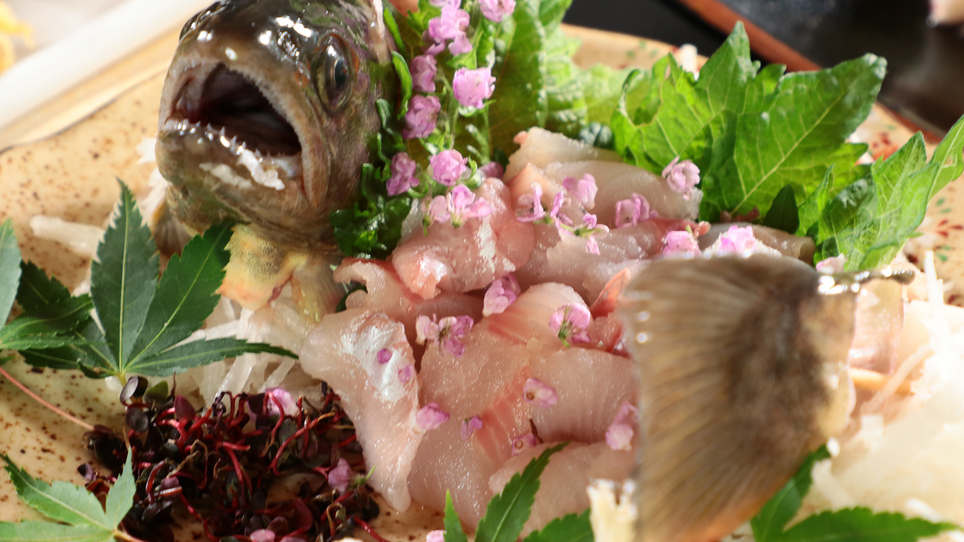 【料理】夕食単品岩魚のお造り*