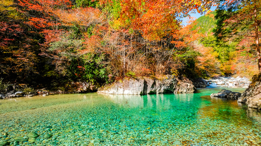 **紅葉の阿寺渓谷/県内有数の紅葉スポット！エメラルドグリーンの清流と燃えるように赤く染まる紅葉は絶