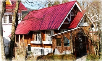コテージ(オーナー手造り)1棟貸切り【素泊まり】屋根付きBBQコーナー。静かな森の中で田舎暮らし体験