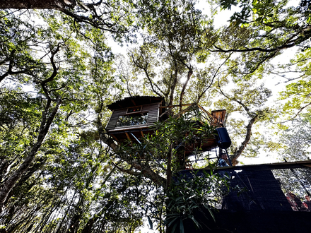 リバーサイドフォレストグランピング-１ツリーハウス