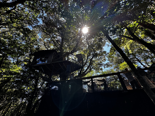 リーバーサイドフォレストグランピング−;１ツリーハウス