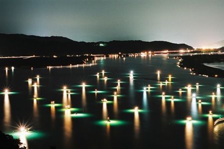 四万十シラス漁