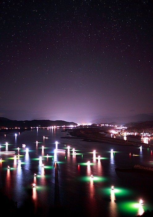 シラス漁の幻想的風景