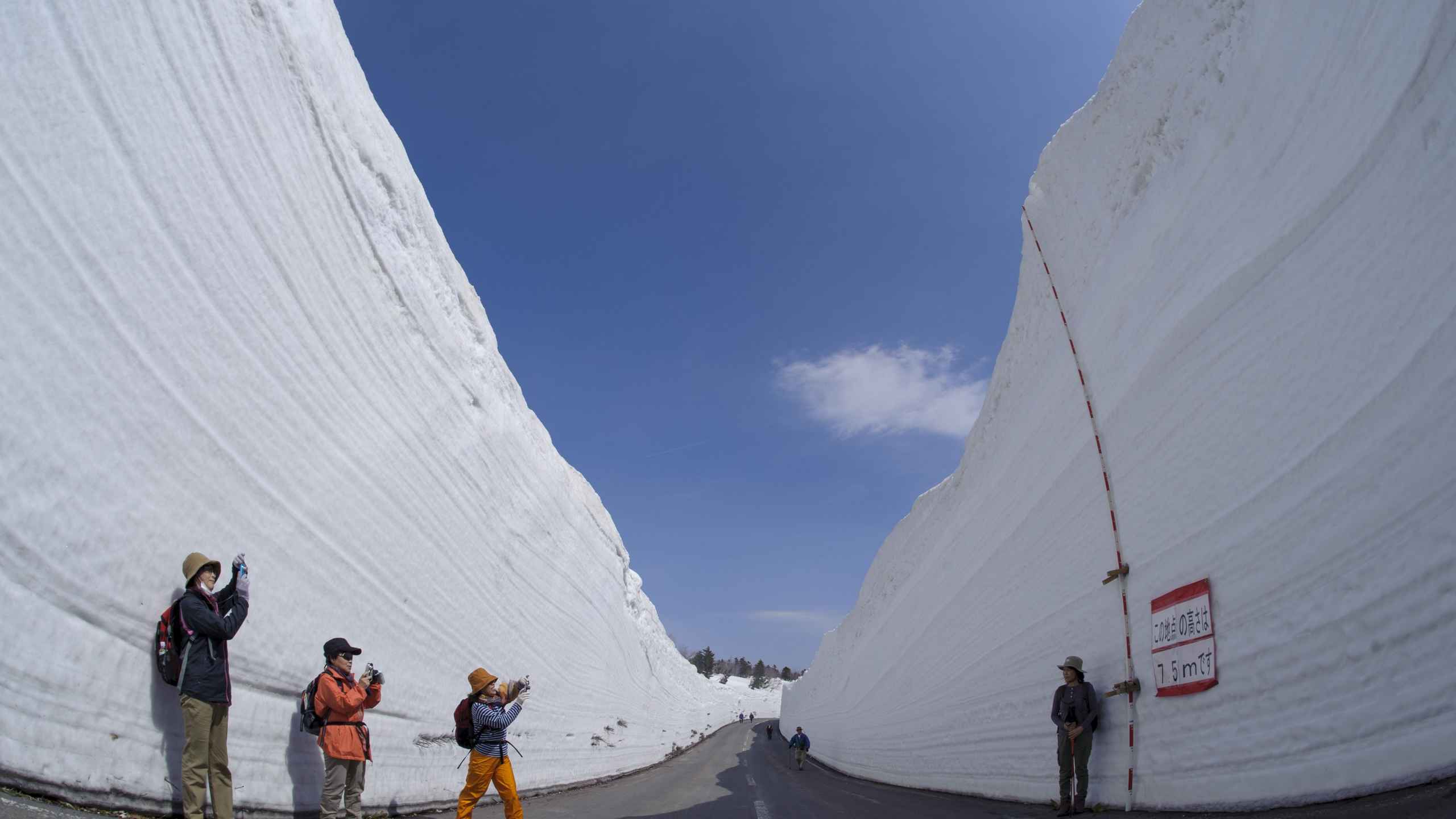 雪の回廊