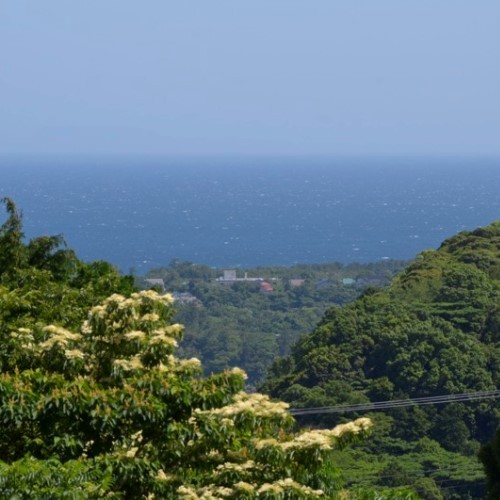 客室テラスからの眺望