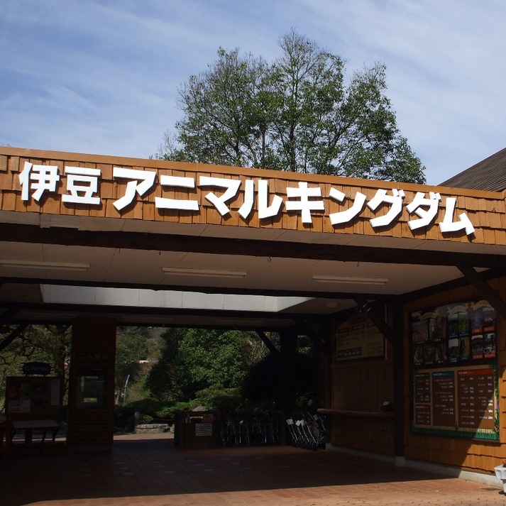 【アニマルキングダム】