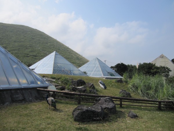 シャボテン公園