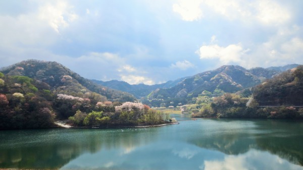 春の松川湖