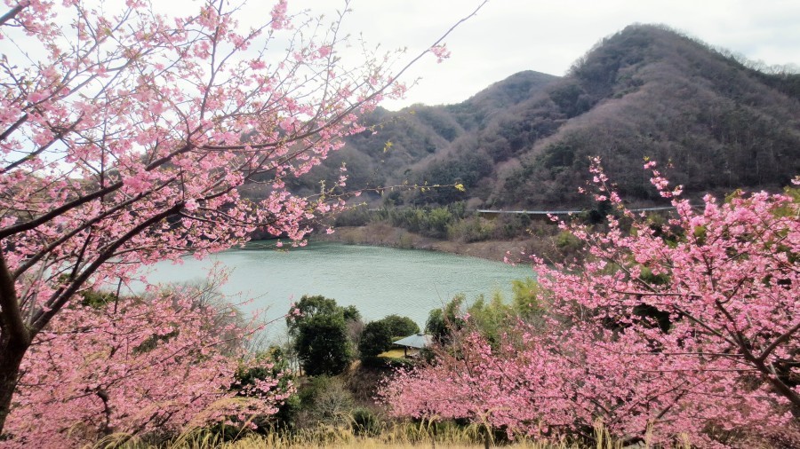 松川湖