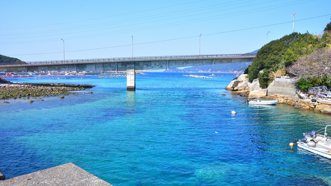 海の青さに感動柏島