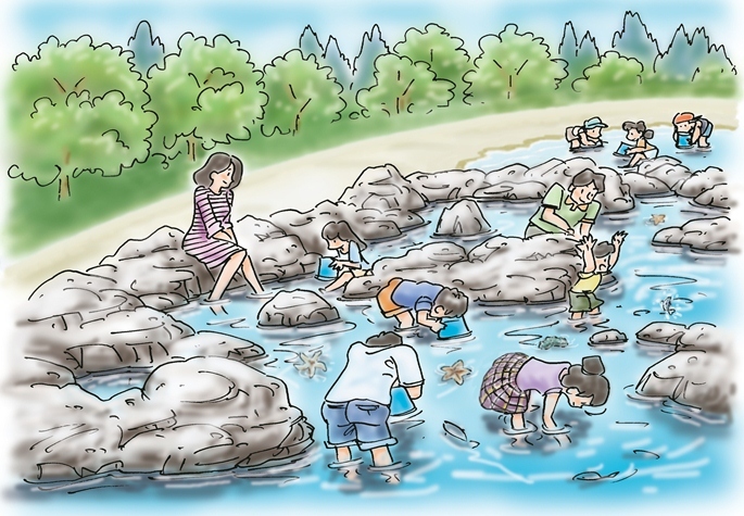 仙台うみの杜水族館ビーチ