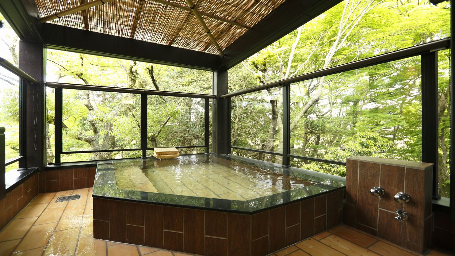 Gora Tsukinoizumi Gora Tsukinoizumi is conveniently located in the popular Hakone area. The property offers a wide range of amenities and perks to ensure you have a great time. Service-minded staff will welcome and gui