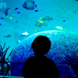 Wakura Onsen Hamazuru Image 3, Nanao, Japan