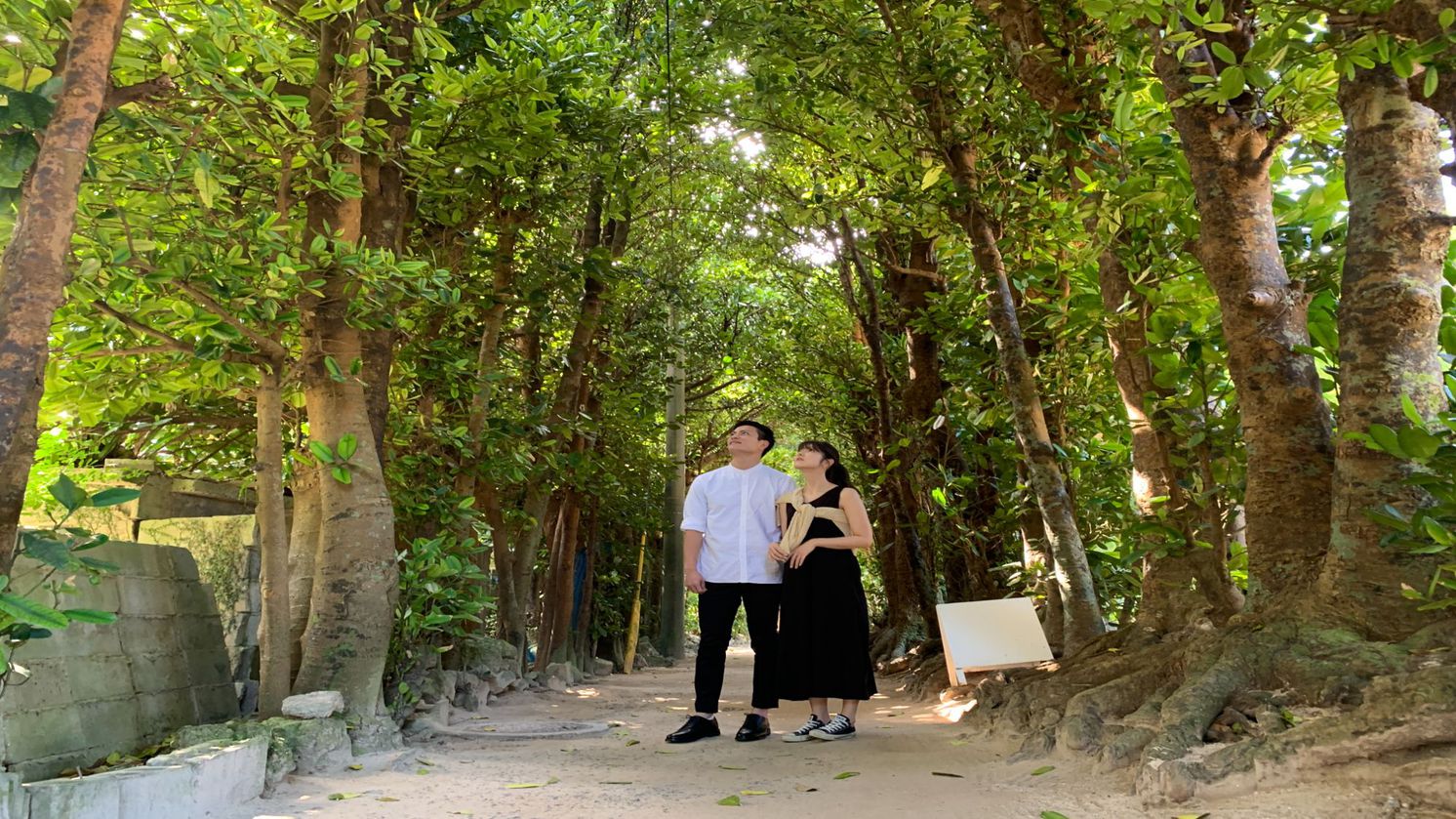 【備瀬のフクギ並木】当館から車で約7分