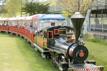 池の平ファミリーランド森林鉄道