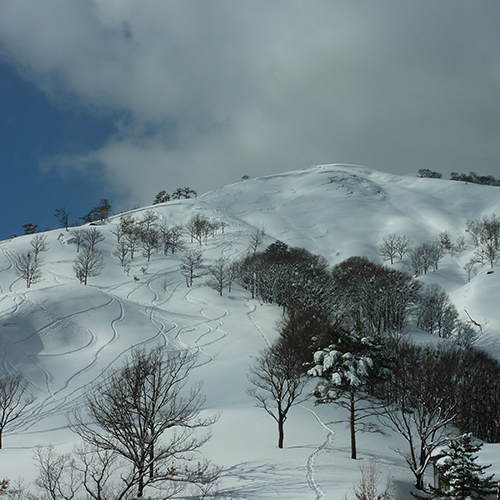 【深入山（冬）】山スキーをお楽しみいただけます