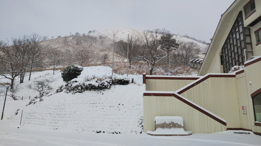 【12月15日時点】の積雪の様子です。