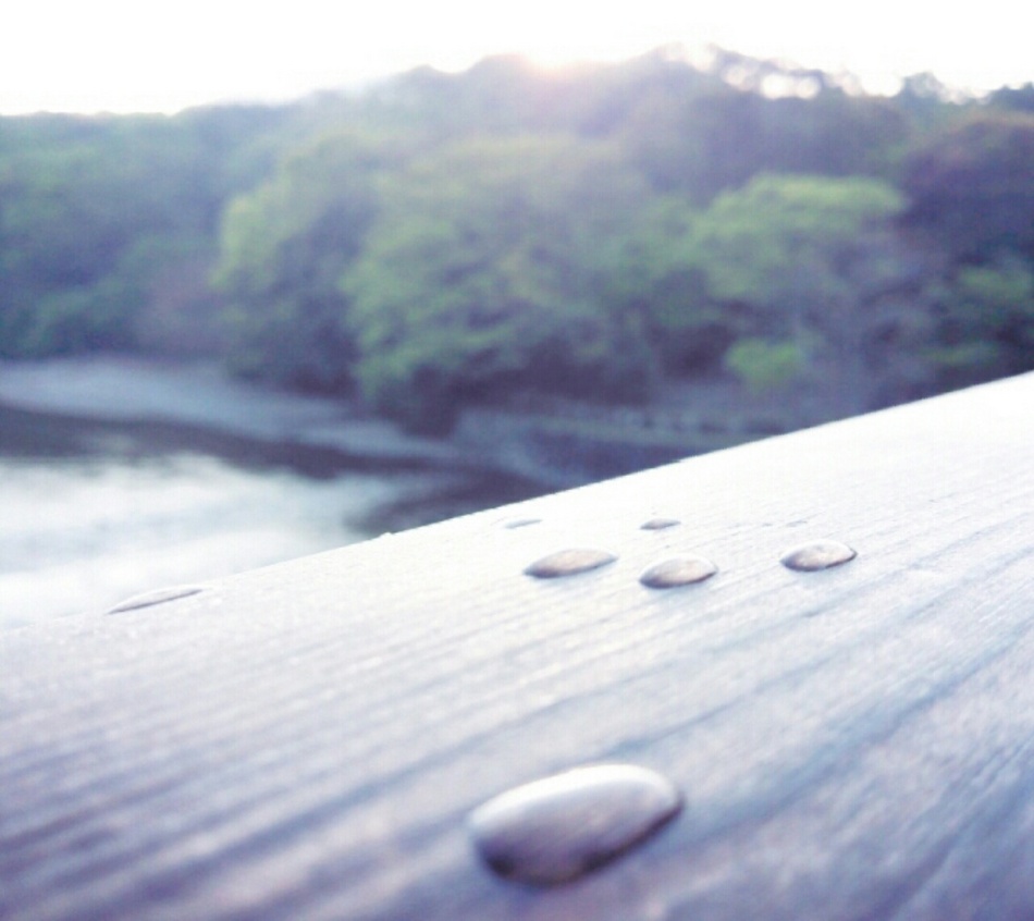 清々しい早朝参拝