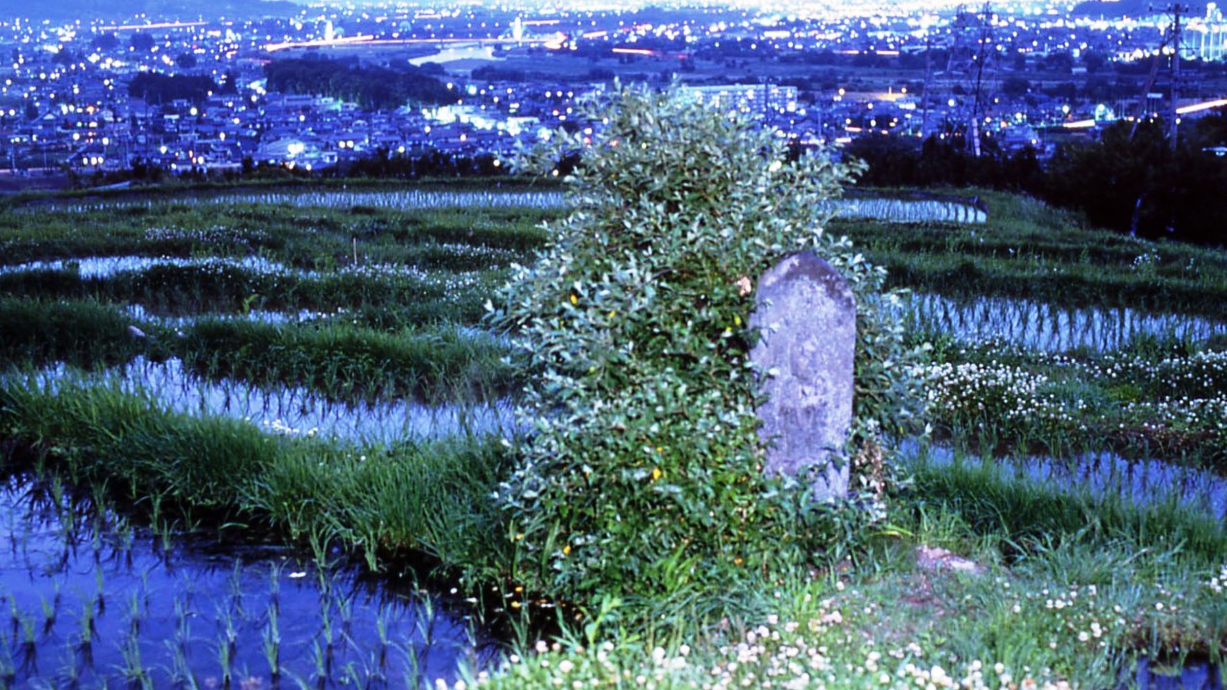 四十八枚田と観音様と夜景