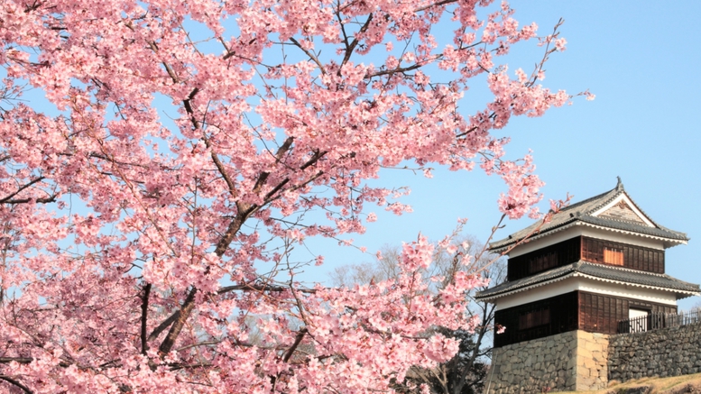 上田城桜