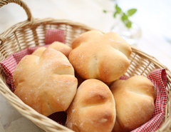 Ever Green Image 5, Fujimi, Japan