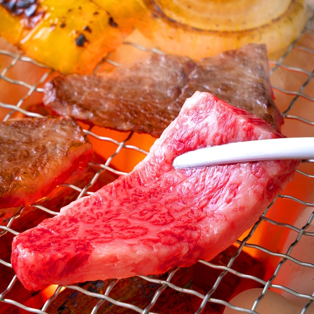 【ブランド肉BBQ】お肉の質にこだわった！熊野牛・みかん豚・梅どり紀州ブランド肉を食べ比べ＜朝夕付＞