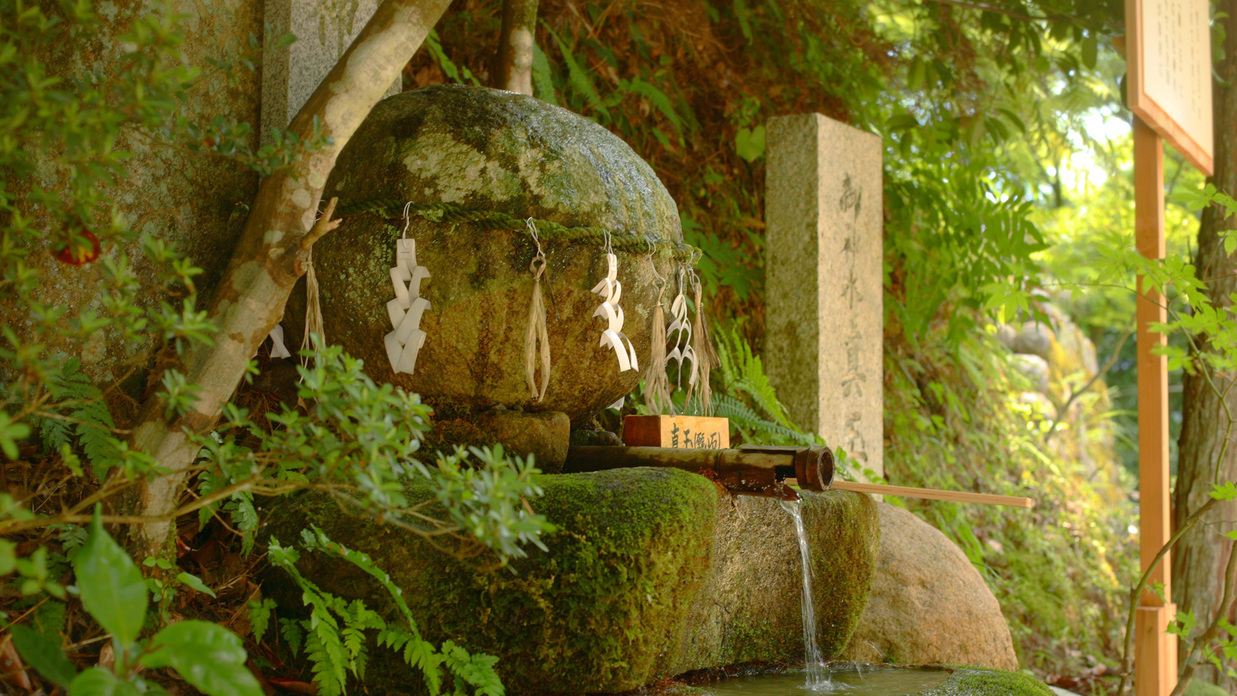 玉作湯神社の「願い石」