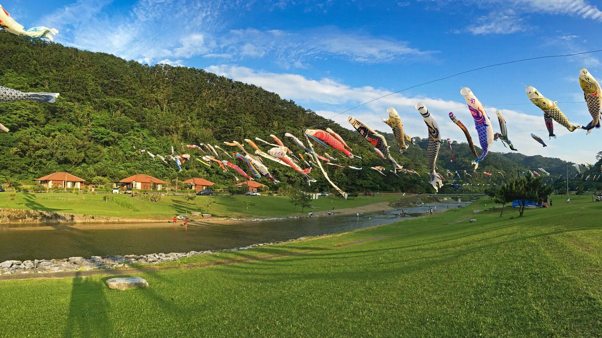 【期間限定】奥やんばるの川の上空に舞う700匹の鯉のぼり。ゴールデンウィークの山原の風物詩。