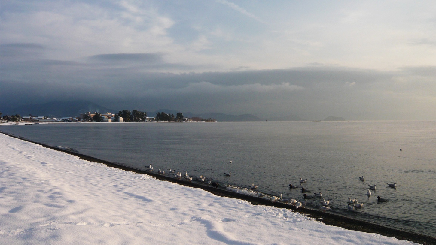 *【湖畔の風景】冬の湖畔でございます。当館からは、琵琶湖を一望できます。