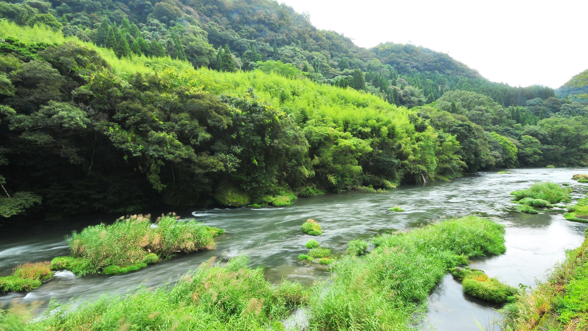 隣接するせせらぎ。。あふれる自然に浸りにいらしてください