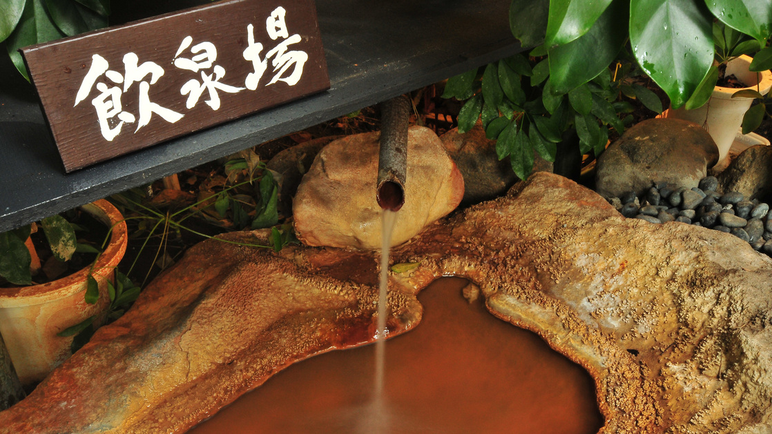 ハイミスト&ハイミネラル『天恵の湯』（自家源泉かけ流し100%）
