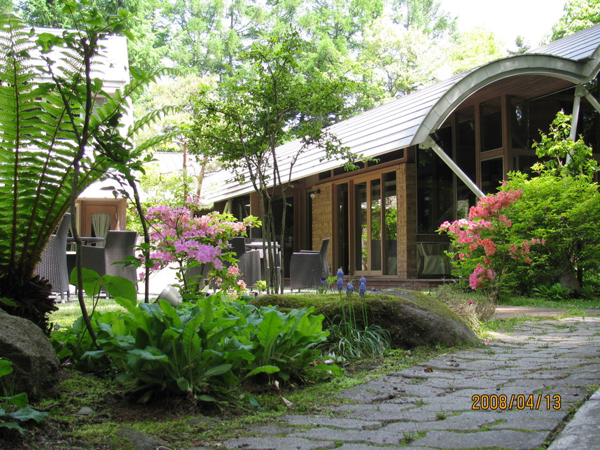 la foret de nome karuizawa