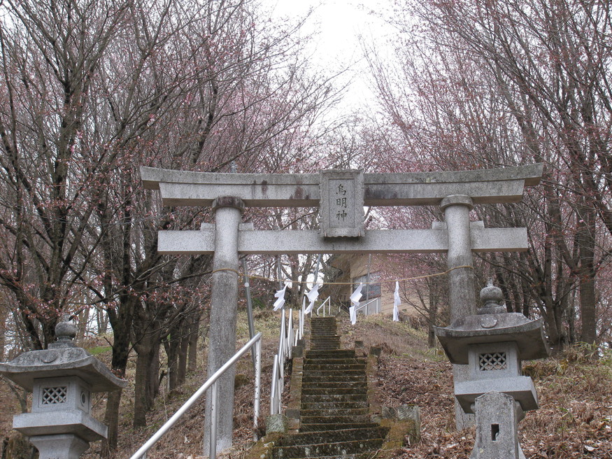 ノームの森前の烏明神の鳥居