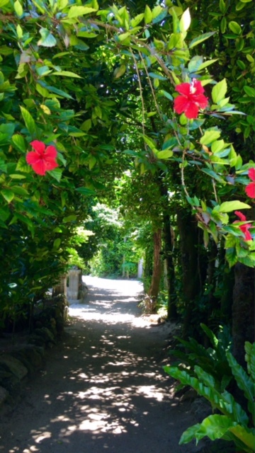 Bise no Yado Yui Image 4, Okinawa Main island, Japan