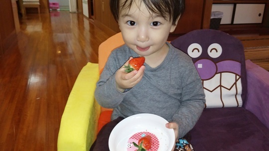 もぎたてイチゴ