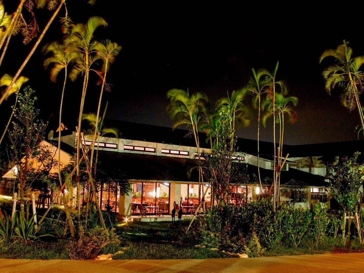 ［レストラン］夜はライトアップされたヤシの木々が沖縄旅を盛り上げます。