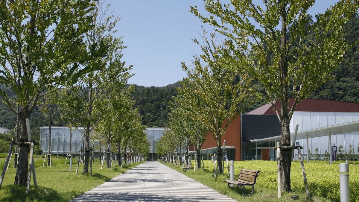 出雲歴史博物館提供元：公益社団法人 島根県観光連盟