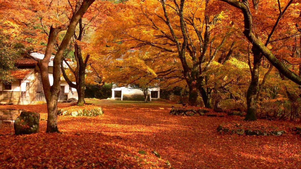 鰐淵寺提供元：公益社団法人 島根県観光連盟