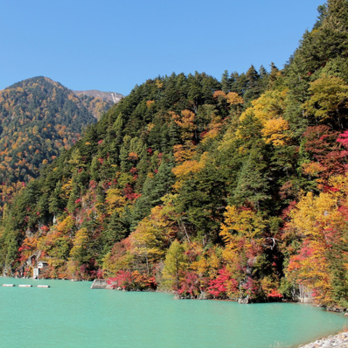 楽高瀬ダムの紅葉