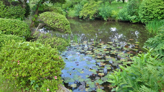 *庭園／池もある純和風の庭園。朝はのんびりお散歩してみてはいかがですか。