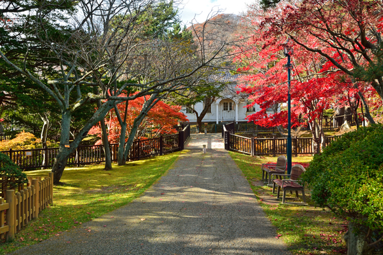 函館公園