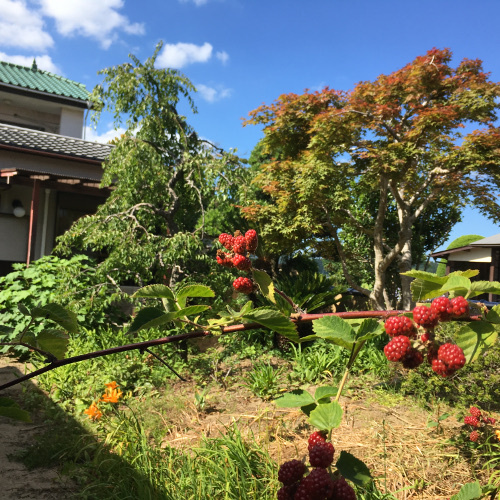 館内からの眺め