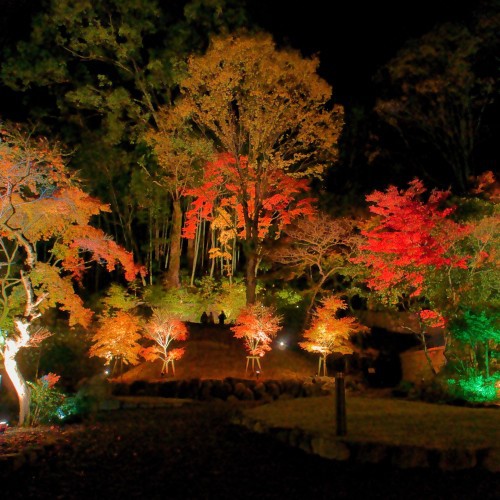 湯河原美術館紅葉ライトアップ