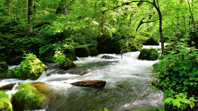 奥入瀬渓流