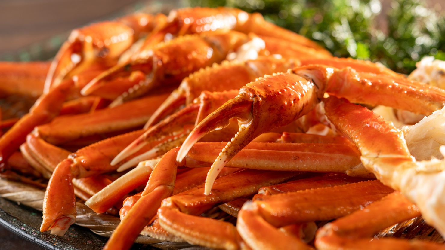 【本ズワイガニ】食べごたえのある蟹脚をご堪能下さい