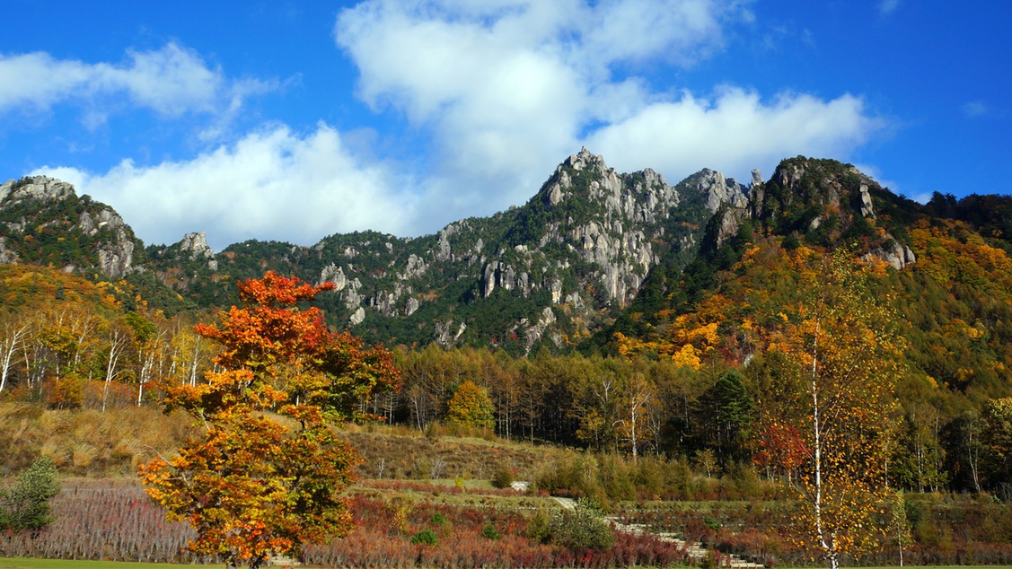 ＊紅葉/例年見頃10月下旬みずがき山と美しい紅葉をごゆっくりお楽しみくださいませ。