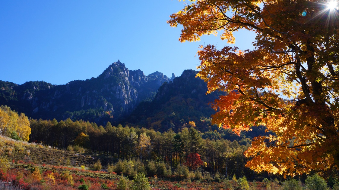 ＊紅葉/例年見頃10月下旬みずがき山と美しい紅葉はまさにおすすめシーズンです！