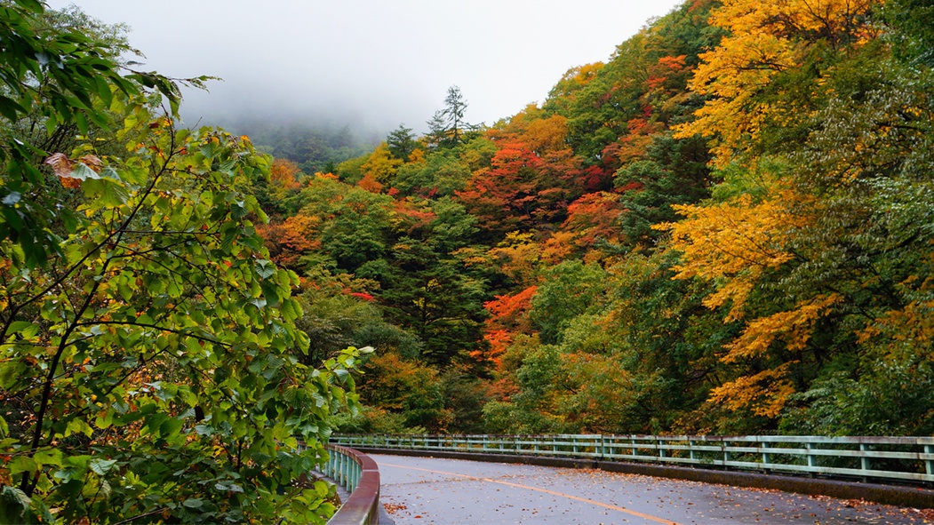 ＊紅葉/例年見頃10月下旬当館までの道のりも、紅葉で色どられ、とても鮮やかになります。
