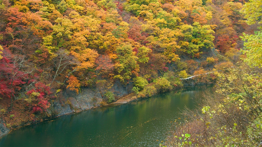 ＊紅葉/例年見頃10月下旬本谷川渓谷と美しい紅葉をお楽しみくださいませ。